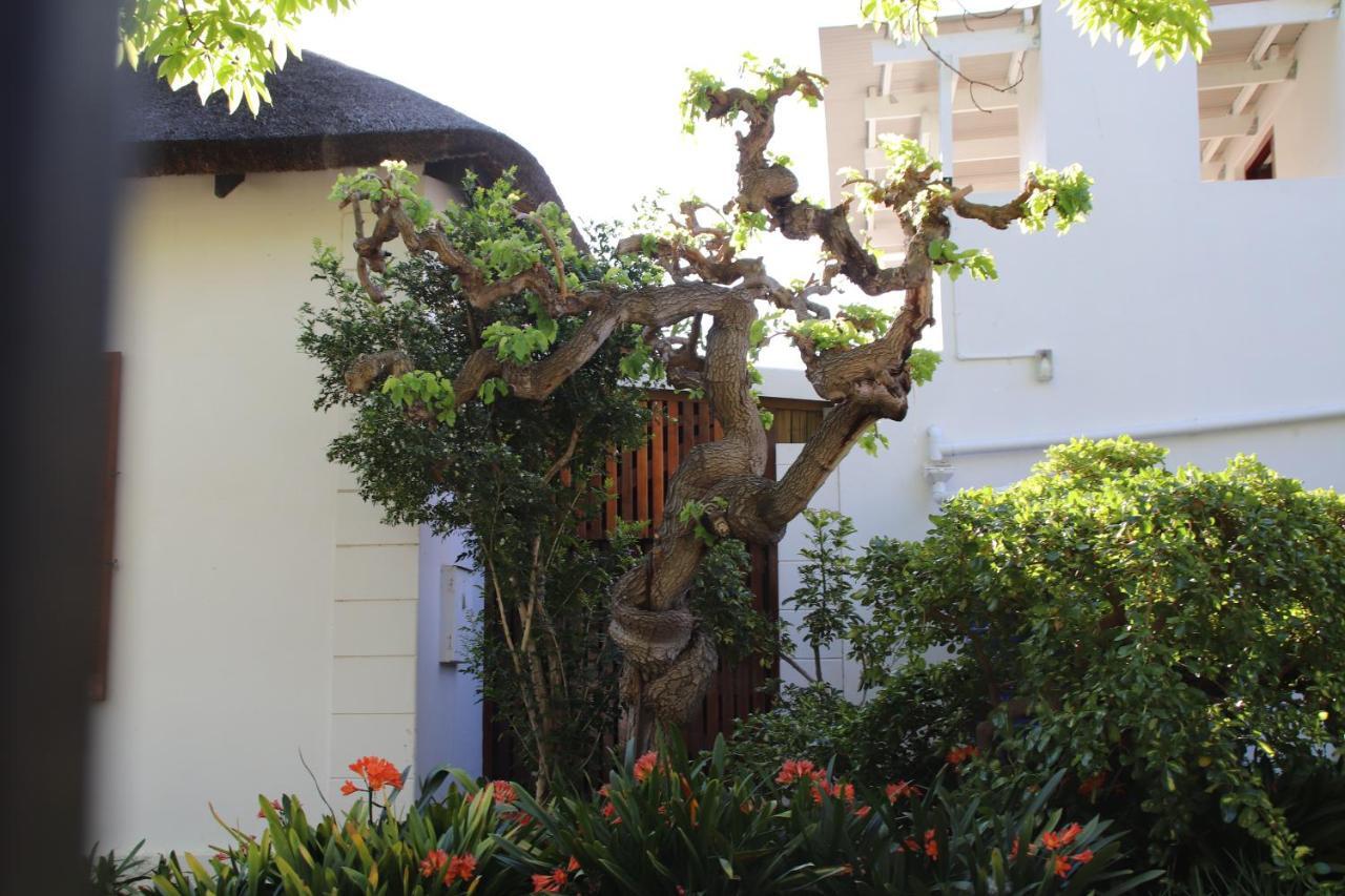 Petal'S Place Robertson Exterior photo